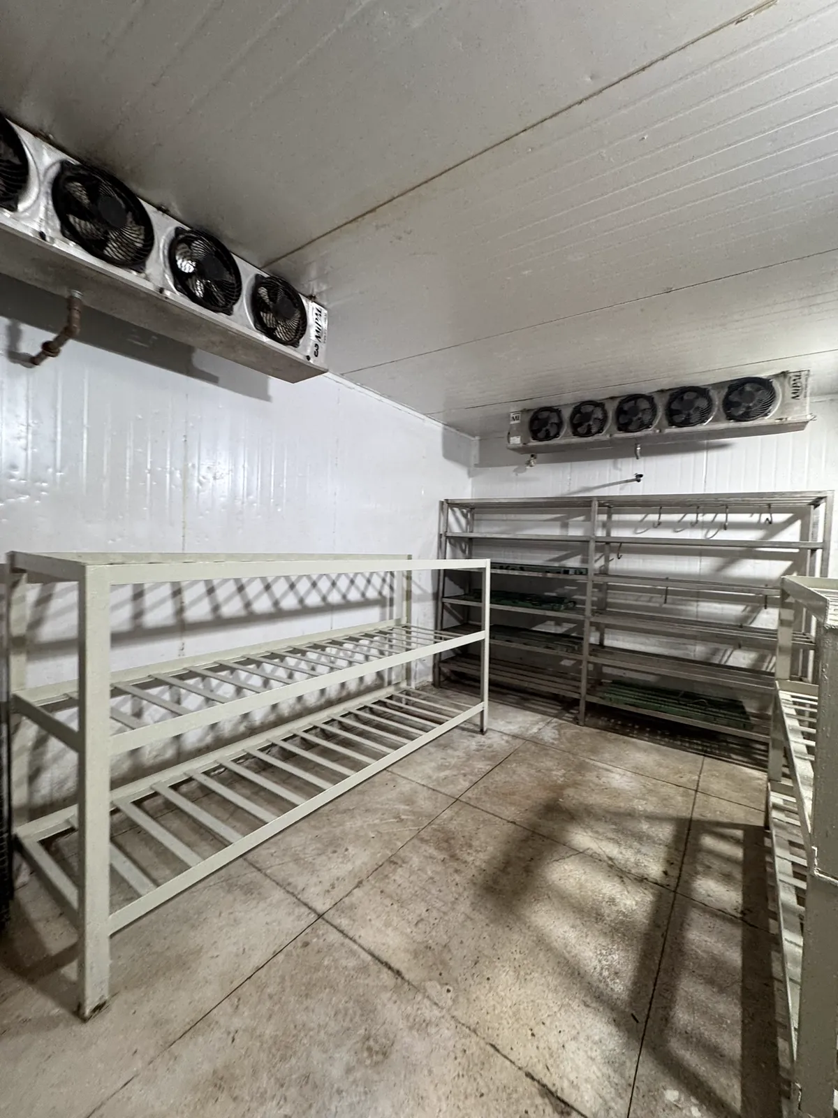 Câmara fria com dois conjuntos de ventiladores e prateleiras metálicas.