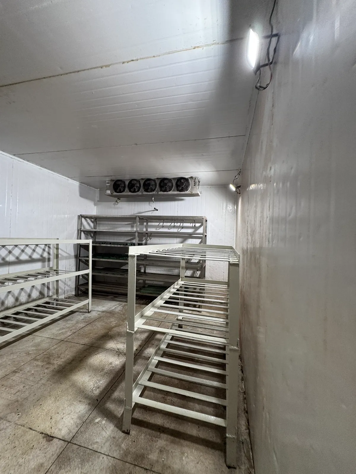 Câmara fria com conjunto de ventiladores e prateleiras de inox, após a revitalização.